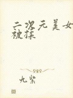 二次元美女的胸被揉封面