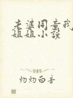 老婆同意我找她姐姐小说