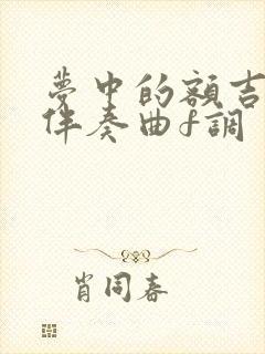 梦中的额吉动态伴奏曲f调