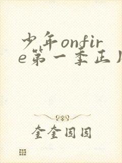 少年onfire第一季正片免费观看
