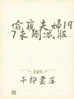 偷窥夫妇1977未删减版封面