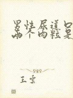 男性尿道口长了两个肉粒是怎么回事