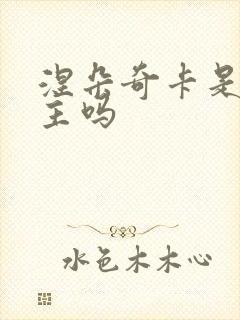 涅朵奇卡是双女主吗