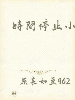 时间停止小说