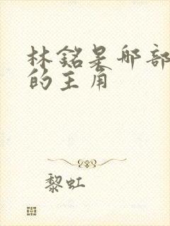 林铭是哪部小说的主角