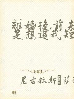 离婚后,前夫总是想追我短剧