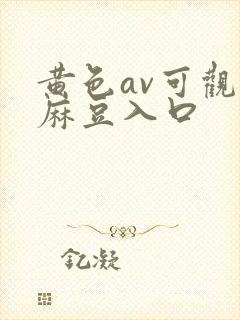 黄色av可观看麻豆入口