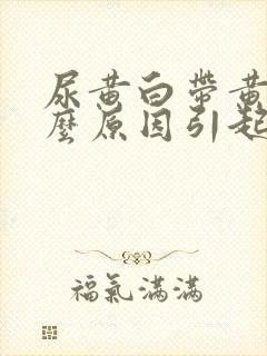 尿黄白带黄是什么原因引起的