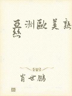 亚洲欧美熟妇黑丝