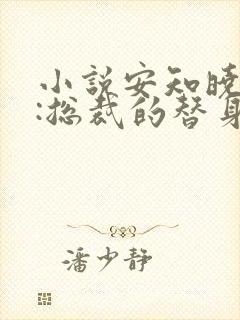 小说安知晓作品:总裁的替身前妻完整版