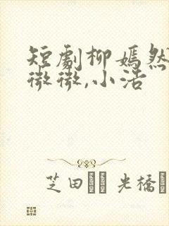 短剧柳嫣然,宋微微,小浩封面