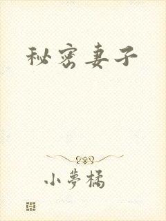 秘密妻子