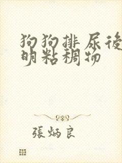 狗狗排尿后有透明粘稠物