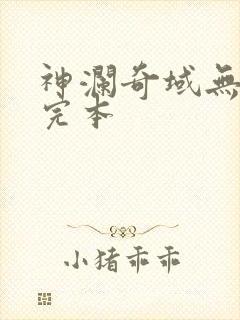 神澜奇域无双珠完本