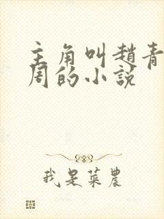 主角叫赵青和老周的小说封面