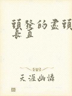 头发的尽头是黑长直