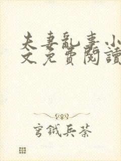 夫妻乱事小说全文免费阅读最新章节