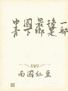 中国最后一批知青下乡是哪一年