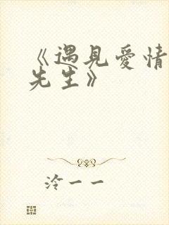 《遇见爱情的利先生》