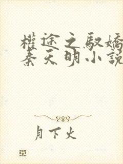 权途之驭娇有术秦天明小说精校