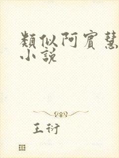 类似阿宾慧钰的小说