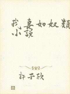 我妻如奴类似的小说封面