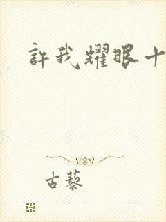 许我耀眼十二集