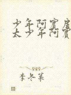 少年阿宾房东太太少年阿宾