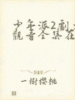 少年派2剧免费观看全集在线播放