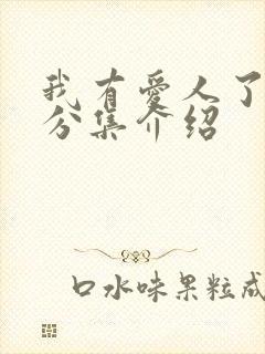 我有爱人了剧情分集介绍