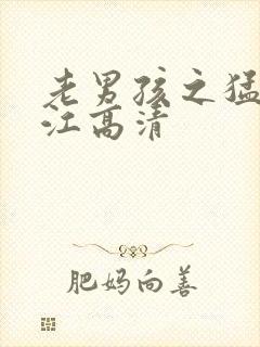 老男孩之猛龙过江高清