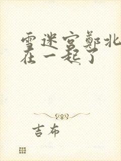 雪迷宫郑北和谁在一起了