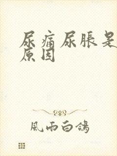 尿痛尿胀是什么原因