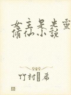 女主是光灵根的修仙小说