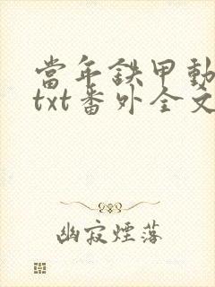 当年铁甲动帝王txt番外全文