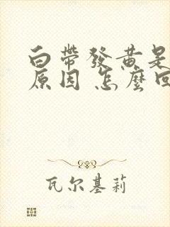 白带发黄是什么原因 怎么回事封面