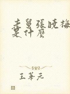 老舅张晓梅结局是什么封面