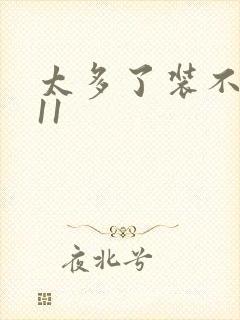 太多了装不下H11封面