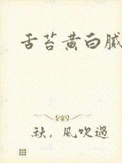 舌苔黄白腻齿痕