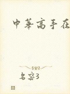 中华高手在异世封面