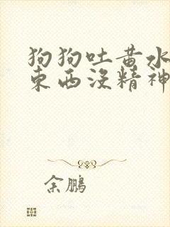 狗狗吐黄水不吃东西没精神怎么回事