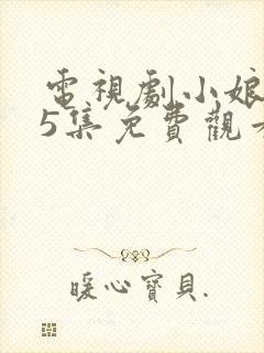 电视剧小娘惹45集免费观看大结局