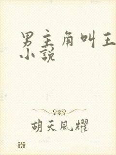 男主角叫王宇的小说