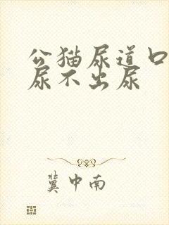 公猫尿道口肿了尿不出尿