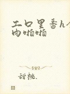 工口里番h全彩肉啪啪