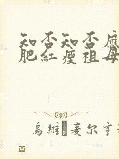 知否知否应是绿肥红瘦祖母说的话封面