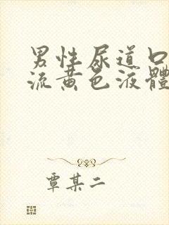 男性尿道口红肿流黄色液体