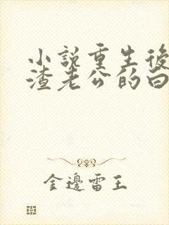 小说重生后成了渣老公的白月光