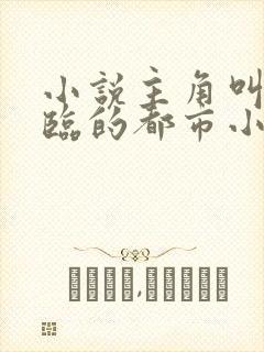 小说主角叫叶君临的都市小说