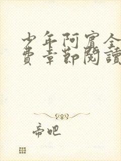 少年阿宾全文免费章节阅读